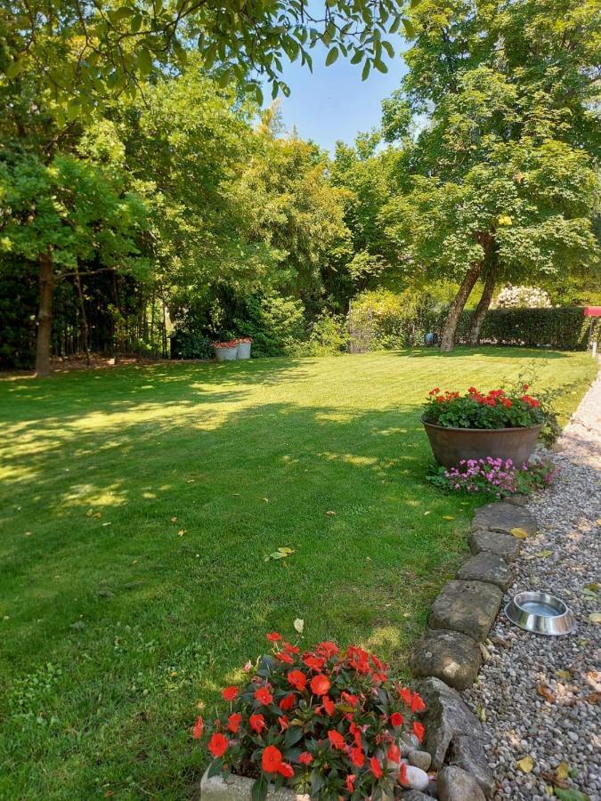 Lumignacco Casa Sulla Roggia 아파트 외부 사진
