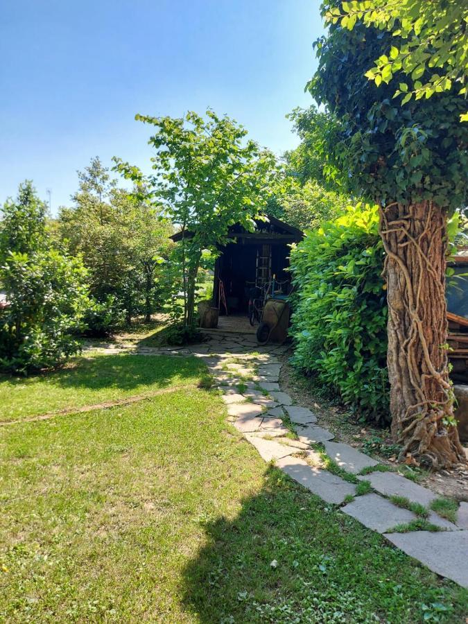 Lumignacco Casa Sulla Roggia 아파트 외부 사진